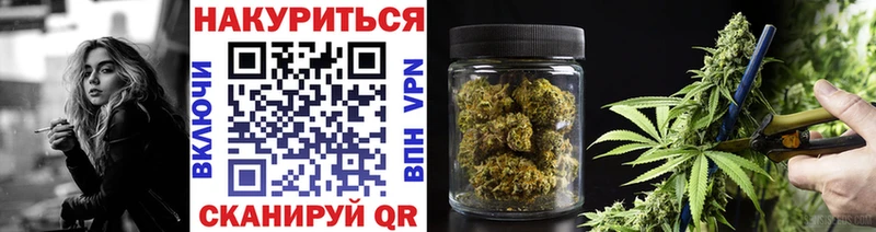 Что такое Зеленоградск Псилоцибиновые грибы  Кокаин  Мефедрон  Каннабис  АМФ 