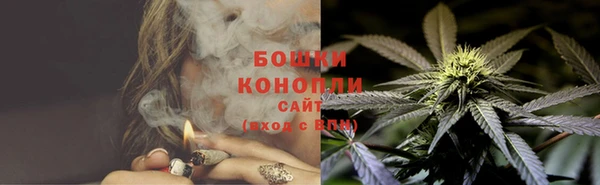 PSILOCYBIN Горнозаводск