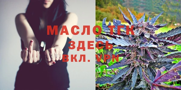 спайс Няндома