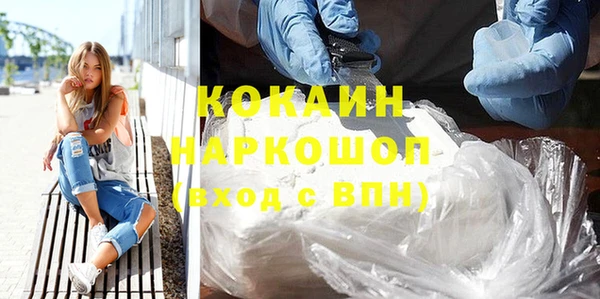 спайс Няндома