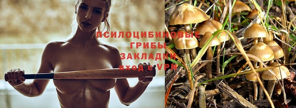 mdma Осинники