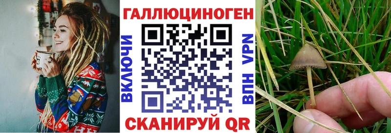 Галлюциногенные грибы прущие грибы ОМГ ОМГ как войти Зеленоградск